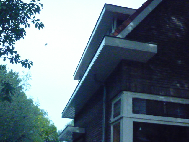 Woonhuis Ringdijk te Rotterdam